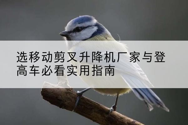 伊川电动升降机厂家-选移动剪叉升降机厂家与登高车必看实用指南