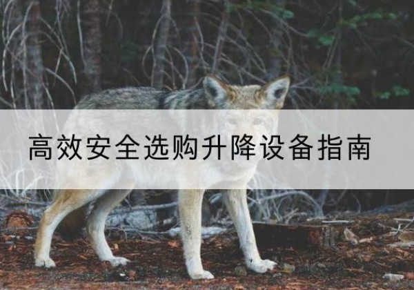 伊川升降货梯厂家推荐-*安全选购升降设备指南