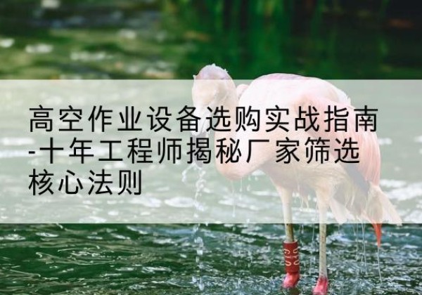 伊川剪叉式升降机厂家-高空作业设备选购实战指南-十年工程师揭秘厂家筛选核心法则
